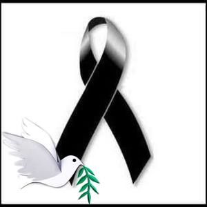 Meet your Posher, Paco